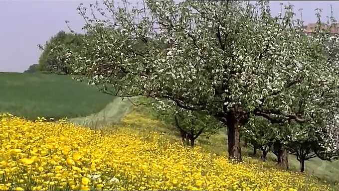 تماشا کنید که گروهی از دختران مدرسه ای در سال 1977 شیطنت می کنند