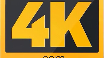 Hunt 4k Představuje Peníze-Hladového Perva V Akci